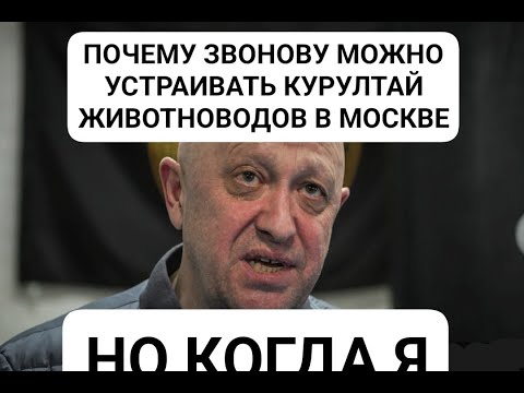 Видео: Итоги сходки и Фрейд с биг фармой -Стрим Звонова (02.10.2023)