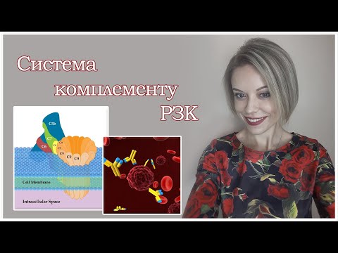 Видео: Система комплементу. Шляхи активації комплементу.  РЗК