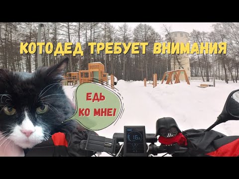 Видео: Поехала К КОТУ утром на электровелосипеде. ЭЛЕКТРОФЭТБАЙК в хозяйстве зимой