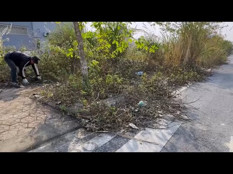 Видео: Удивлен чудесным преображением страшного тротуара - Уборка заросшей травы