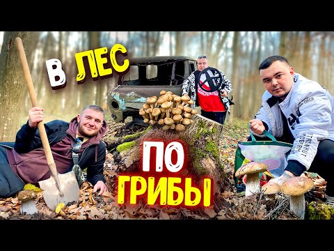 Видео: В Лес по ГРИБЫ взяли Металлоискатель / Что нашли ? Путешествие