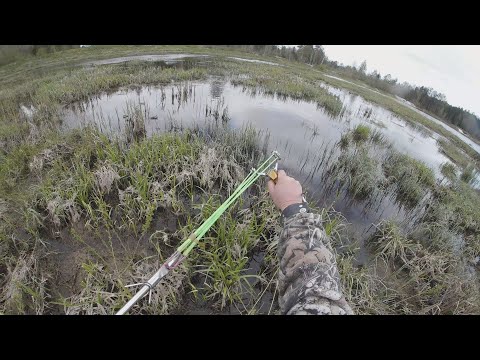 Видео: Рыбалка с рогаткой | Карась на рогатку в Мае #93