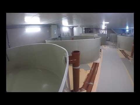 Видео: УЗВ Торжок