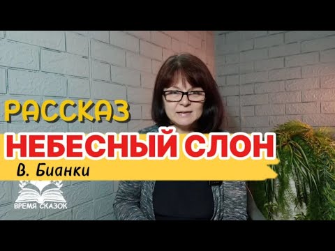 Видео: Сказки Бианки. Небесный слон. Чтение для малышей. 