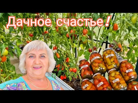 Видео: «Помидоры в банки, огурцы в молоко… Что дальше?»