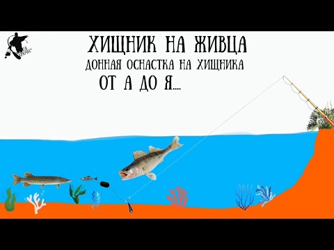 Видео: Хищник щука,судак и т.д...на живца.Живцовая донка.Уловистый монтаж для ловли с берега на живца🔥🎣