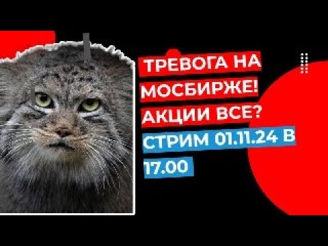 Видео: Тревога на МосБирже! Акции все? Стрим КОТА МАНУЛА 01.11.24 в 17.00