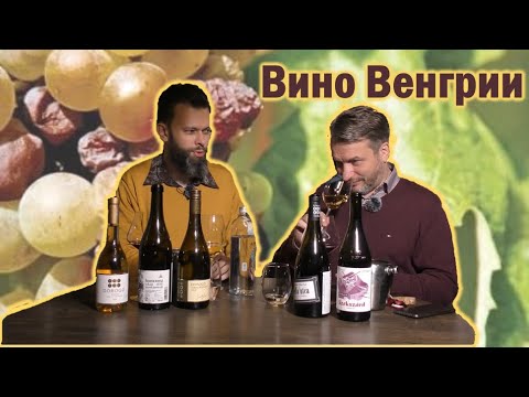 Видео: Обычный и необычный Токай. Новая Венгрия
