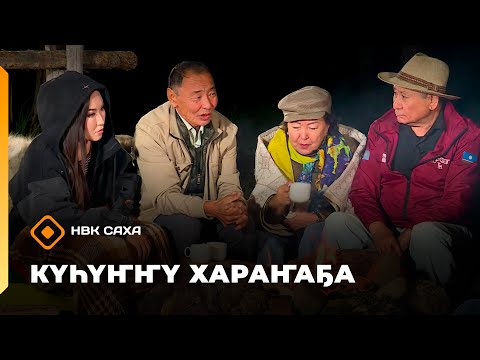 Видео: «Күһүҥҥү хараҥаҕа...»     (07.10.25)