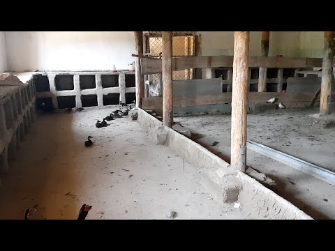 Видео: 300$ га бизнесимни соттим, ойига 300$ даромад келтирар эди