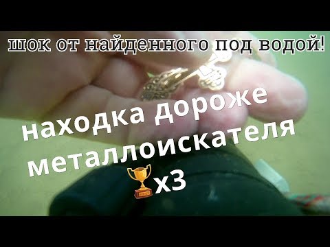 Видео: Я в ШОКЕ от находки которая в три раза дороже металлоискателя,пляжный коп под водой с выдрой