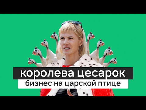 Видео: Цесарка в Татарстане. Как бухгалтер из Казани создала «оглушительную» ферму