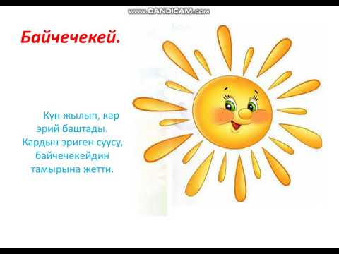 Видео: Алиппе 1-класс учун