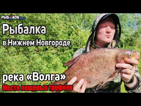 Видео: Трофейный лещ рвет леску. Рыбалка в Нижегородской области 2022. Фидерная рыбалка на леща