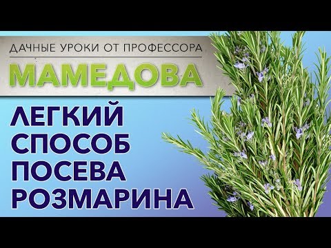Видео: Легкий способ посева