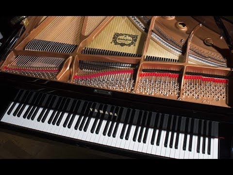 Видео: Рояль Yamaha. Как это работает