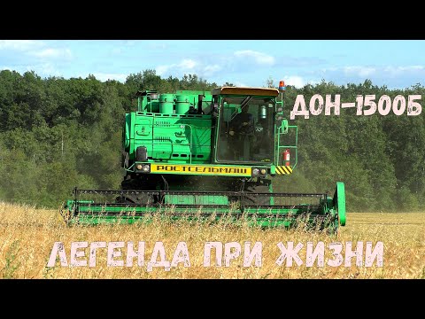 Видео: Просто комбайны ДОН-1500Б молотят ячмень. Просто ухоженными  кузнечиками управляют профессионалы