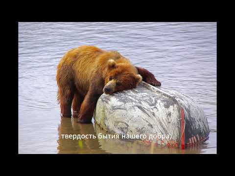 Видео: Звон колокола!