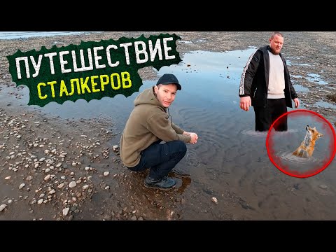 Видео: Загадочная нора Кто здесь живёт? Большое приключение