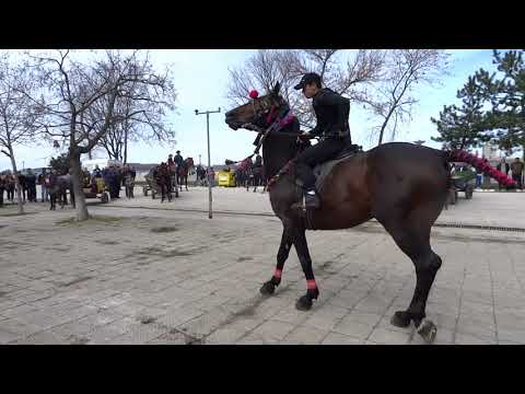 Видео: Награждаване на участниците в празника на коневъда от гр. Никопол - 16.3.2018г.