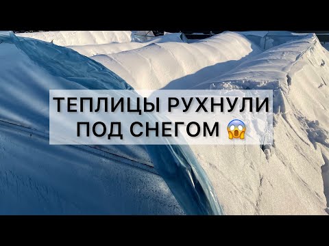 Видео: Теплицы разрушены! Последствия сильного снегопада!