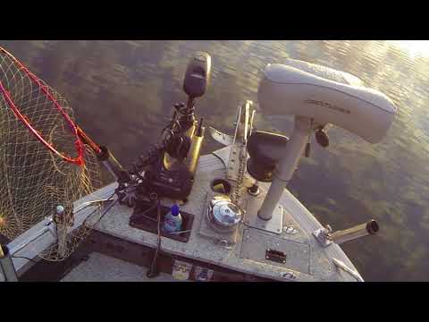 Видео: Троллинг на верхней Волге, 18 июня 2018 года, часть 1.MP4