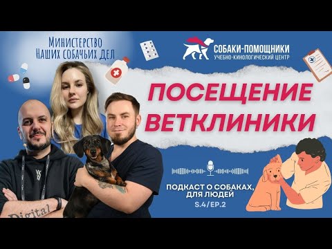 Видео: Идём в ветклинику без стресса: как подготовить себя и животное