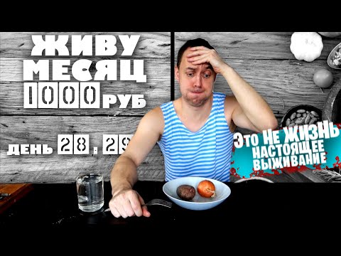 Видео: ДЕНЬ 28 - 29: МЕСЯЦ НА 1000 РУБЛЕЙ в 2021 году: НАСТОЯЩЕЕ ВЫЖИВАНИЕ НАЧИНАЕТСЯ