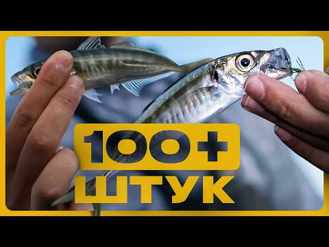 Видео: Як ловити максимальну кількість ставріди? Гірлянди ставріди!