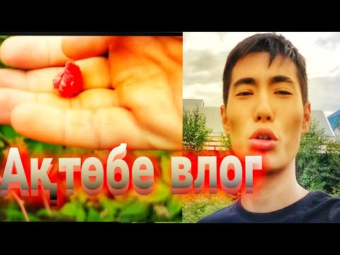 Видео: Vlog: Ақтөбөдегі күнім... Өте қызықты