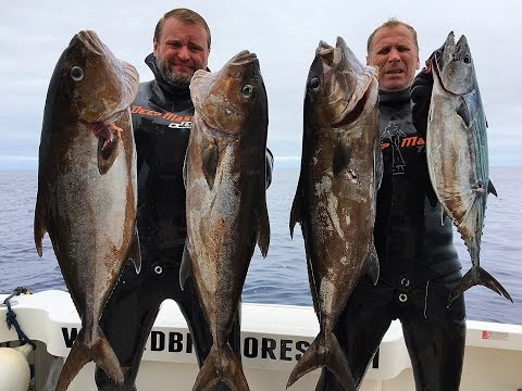 Видео: АЗОРЫ 2016. Серия 2. Sperafishing in the Azores Pico Islands 2016. Фильм Олега Ляденко