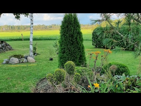 Видео: Ого, сколько еще работ впереди, успеть бы. 11 октября 2025 г.