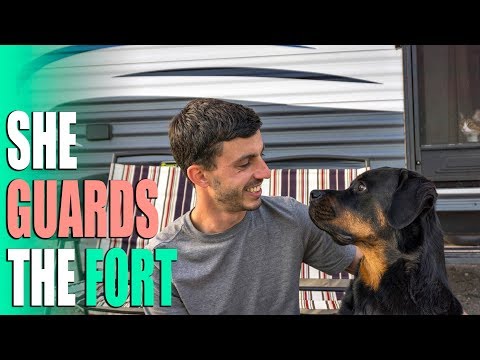 Видео: Безопасность автодома во время застоя и теплового истощения в Долине Смерти — жизнь на автодоме н...