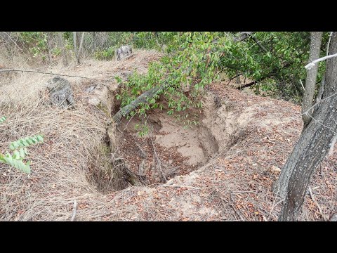 Видео: Тракийските могили на с.Виден /2025/