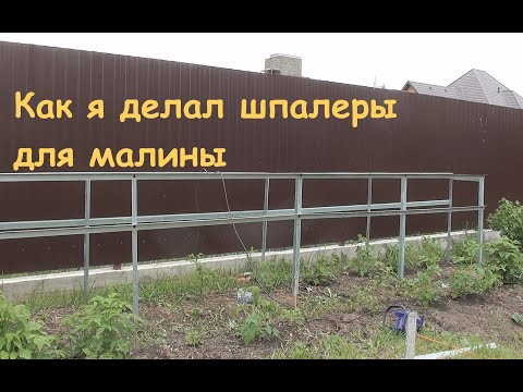 Видео: Как я делал шпалеры для малины