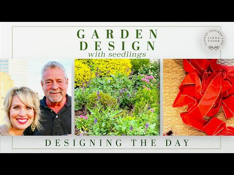 Видео: Дизайн сада с помощью рассады 🌱