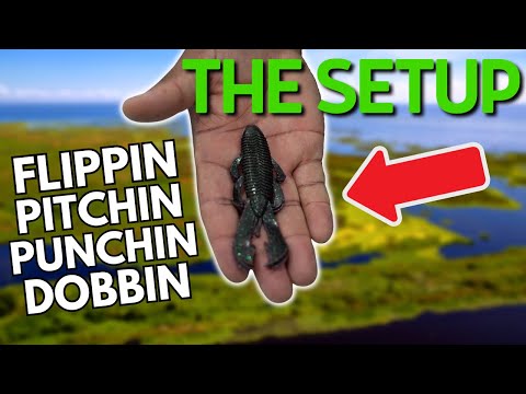 Видео: Как поймать окуня в траве (переворачивая и подбрасывая)