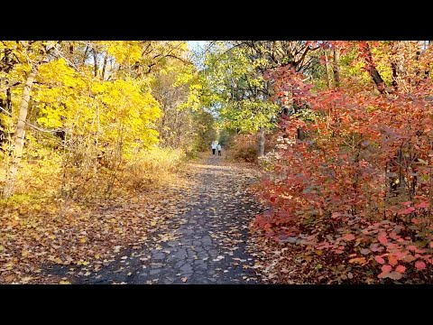 Видео: Я СНОВА В ПАРКЕ ДОБРОПОЛЬЯ. ЖЕЛАНИЕ НАПАКОСТИТЬ. ГОТОВЛЮ ОБЕД