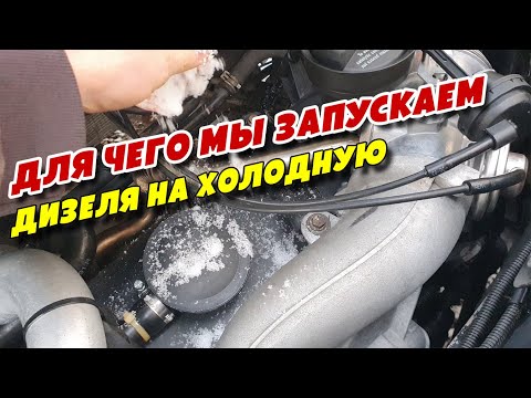 Видео: Для чего мы Запускаем дизеля на холодную