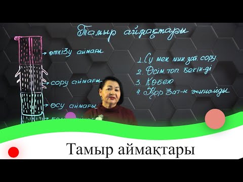 Видео: Тамыр аймақтары. 8 сынып.