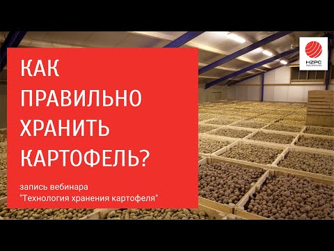 Видео: Что нужно знать про хранение картофеля? Запись вебинара "Технология хранения картофеля"