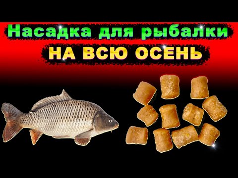 Видео: Насадка для рыбалки на КАРПА, КАРАСЯ, ЛЕЩА. НА ВСЮ ОСЕНЬ.