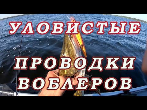 Видео: Самые МОИ РАБОЧИЕ ПРОВОДКИ для Воблеров!  Как ПРОВОДИТЬ разные типы Воблеров!