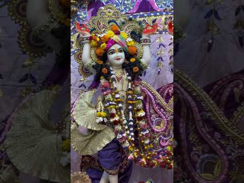 Видео: Перелёт Алматы Дели 29 сентября 2025 первый день во Вриндаване этой осенью