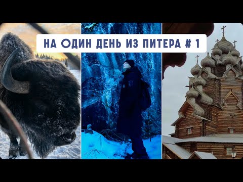 Видео: Куда съездить на один день из Питера? Парк Зубровник, Рускеала, Усадьба Богословка