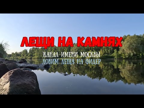 Видео: Канал имени Москвы. Рыбалка с фидером на трубе. "Лещи на камнях!"