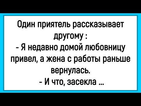 Видео: 🔥Как Муж Домой Любовницу Привёл! Сборник Смешных Историй! Юмор! Позитив!
