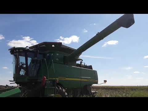 Видео: уборка подсолнуха 2021 JOHN DEERE 9650sts