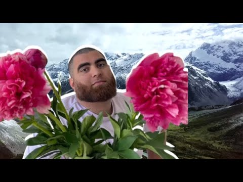 Видео: СПОР ЖЕНЩИН С МУЖЧИНАМИ. Непокорность для женщины это не сила.|Арсен Маркарян