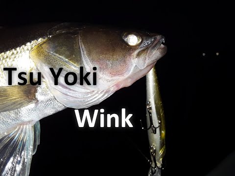 Видео: Обзор воблера Tsu Yoki Wink 110F и 110SP